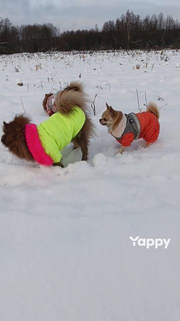 🎀REFLEX🎀Снег в душе❄️#shorts