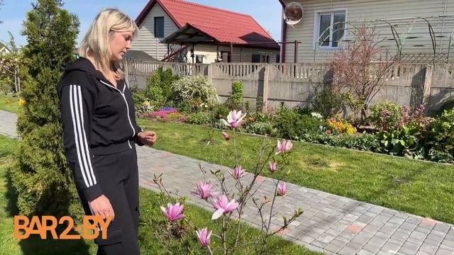 Цветник. Магнолия: какой саженец выбрать, как ухаживать и когда обрезать