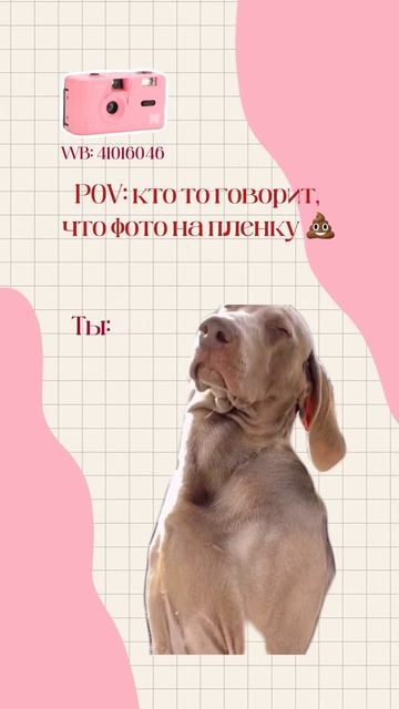 Kodak M35 многоразовый пленочный фотоаппарат, розовый WB 41016046 🌸