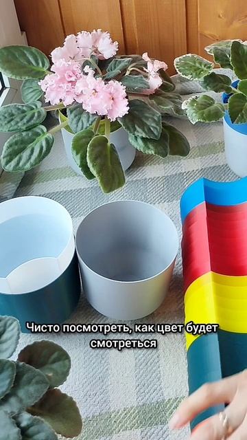 Горшки_с_автополивом_для_цветов.mp4