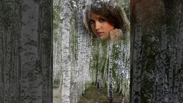 Белая берёза - (автор песни В.Г. Трепетцов).