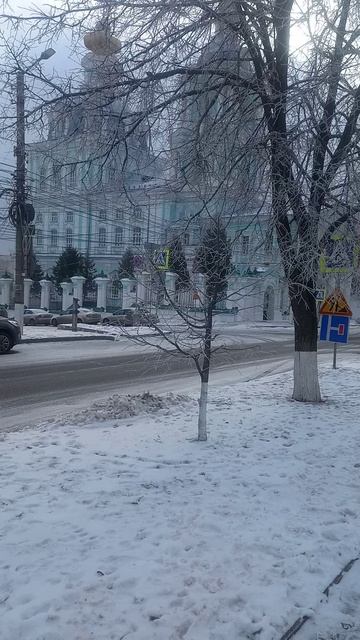 ❗Зимний Курск ❄ 10.02.2025 г.❗ #shorts #shortsvideo #nature #kursk #зима
