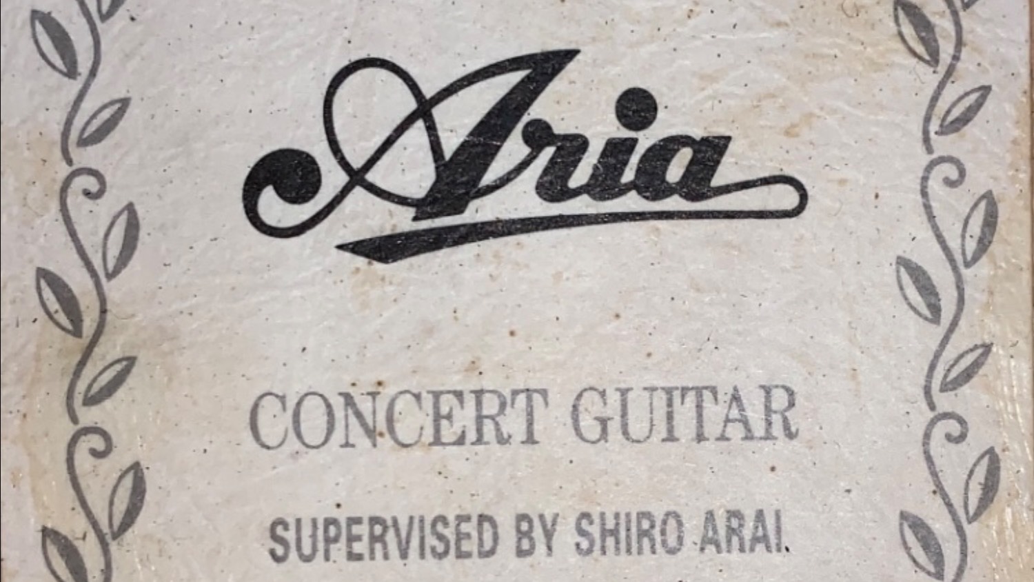 Гитара Aria AC 70F - Кан Кан ( из оперетты Орфей в аду Ж. Оффенбах )