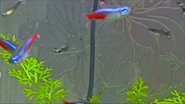1000079519.mp4