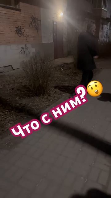 Новый год в разгаре…🎄🎆🧂😂а как у Вас дела_😀🔴 #подпишись #юмор #взаимнаяподписка #рекомендации