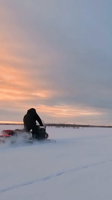 Снегоходы, друзья и дикая природа – вот он, настоящий Север!