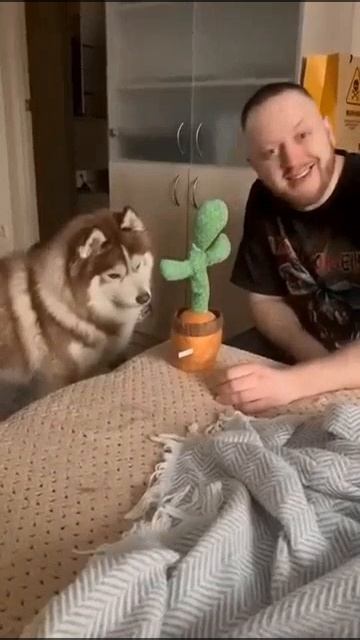 Это слишком мило!