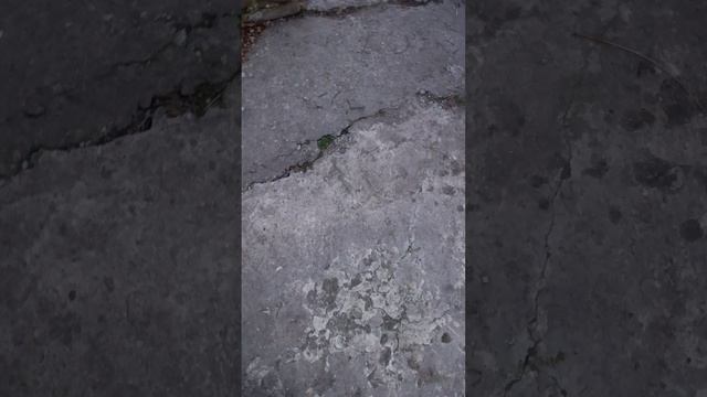 1000001480.mp4