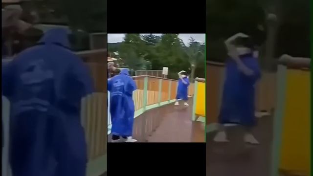 смешное с юмором