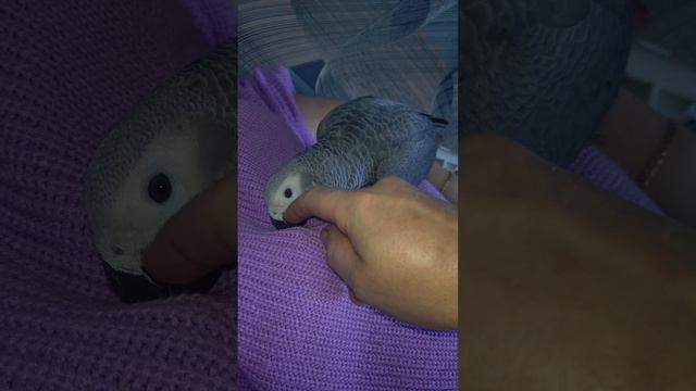 Хорошего всем дня! Как прошёл понедельник?