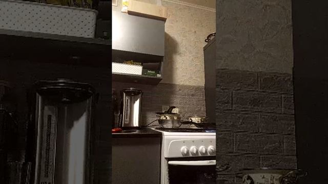 т