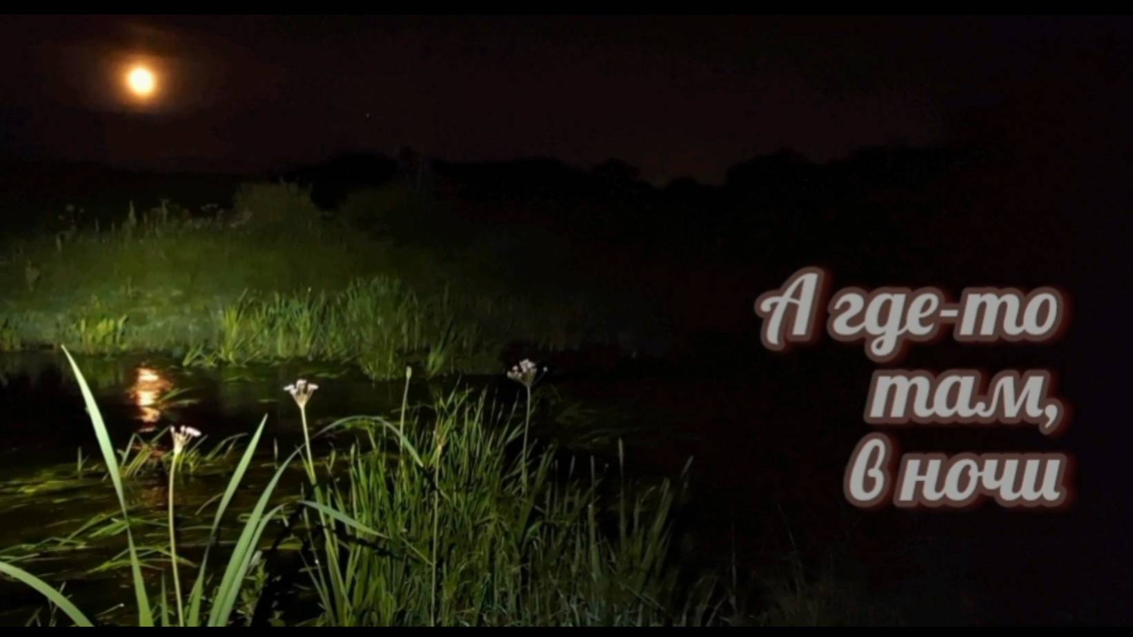 25 июня 2024 года. А где-то там, в ночи...