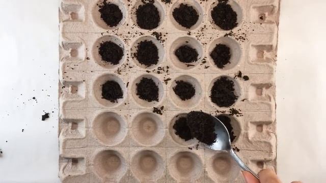 Let’s get into Design my Dream Balcony simple and creative Diy