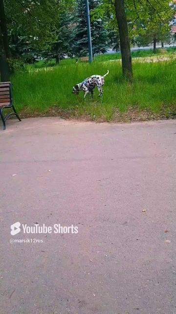 игровое чудо)))