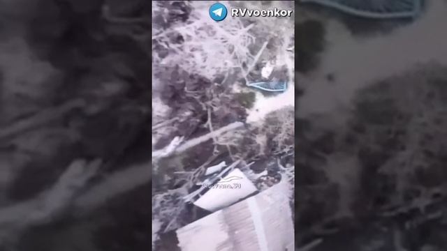 Украинского боевика спасла православная вера, крестное знамение и милосердие оператора дрона ВС РФ.