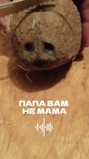 как реалистично получилось 🫠