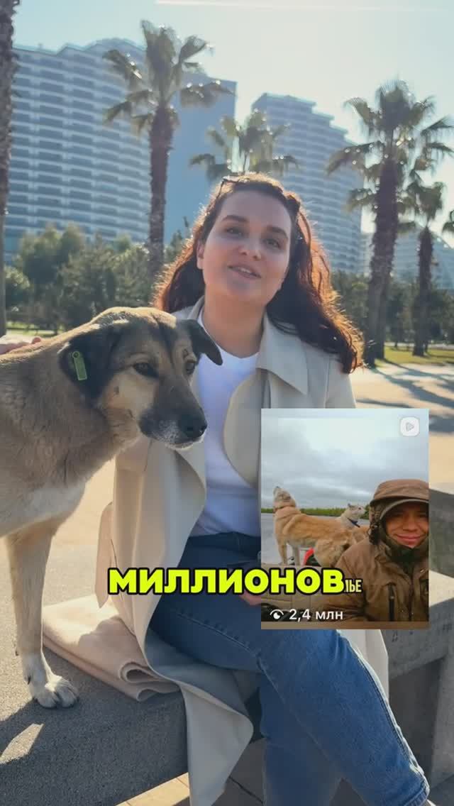 Как набрать подписчиков в 2025 году