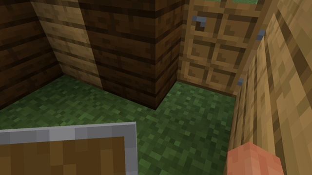 SVID_20250209_191603_1.mp4