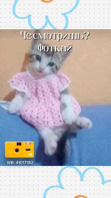 Kodak M35 многоразовый пленочный фотоаппарат, жёлтый WB 180291969 💛