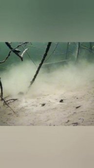 ВЕЛИКАЯ МАТУШКА ВОЛГА, А ТЫ РЫБАЧИЛ НА ВОЛГЕ?