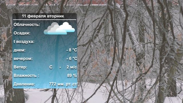 Погода на завтра_ 10_02_2025