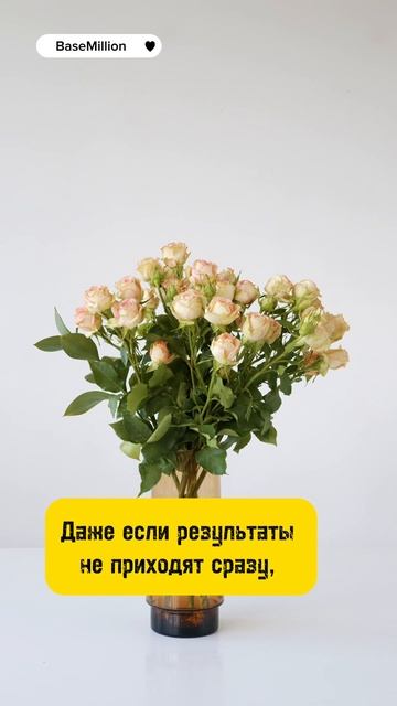 Сила упорства