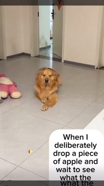 невидимка