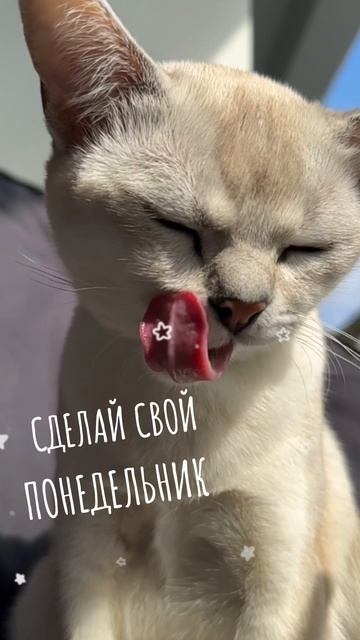 Сделай свой понедельник сладким