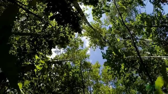 Реальность в необычном обличии часть 2.
