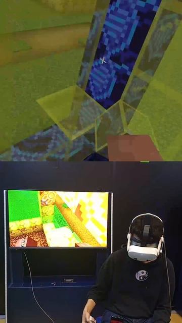 VR Minecraft home reconstruction with flag 382 #vr #minecraft #minecraft_reconstruction