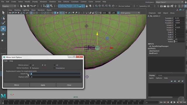 24 - Placing Joints for the Mouth