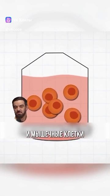 Искусственное мясо!