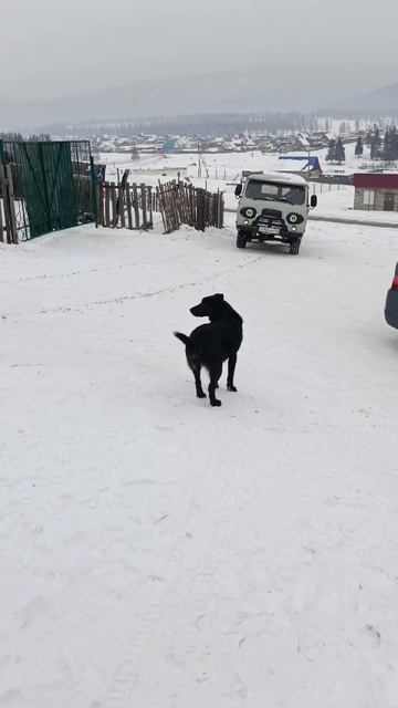 Показ УАЗ