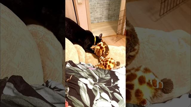 Агата спортсменка #😃