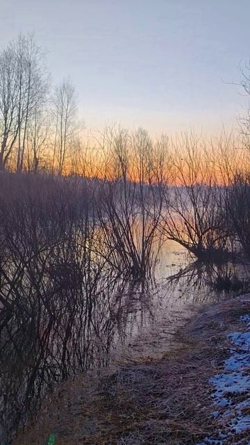 Утро на зимней реке.