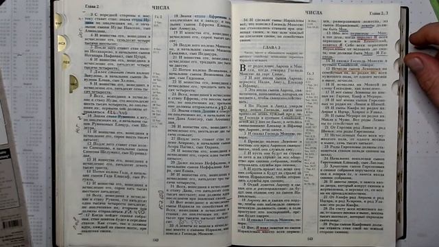03. Числа