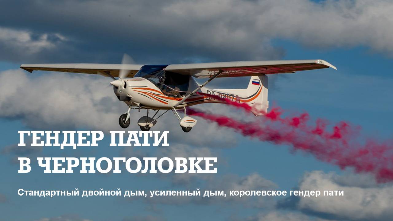 Гендер пати с самолётом в Черноголовке