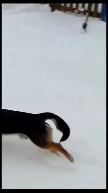 😍 Доброе  зимнее утро! 🥰