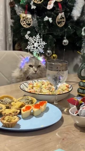 когда встречаешь нг с родителями