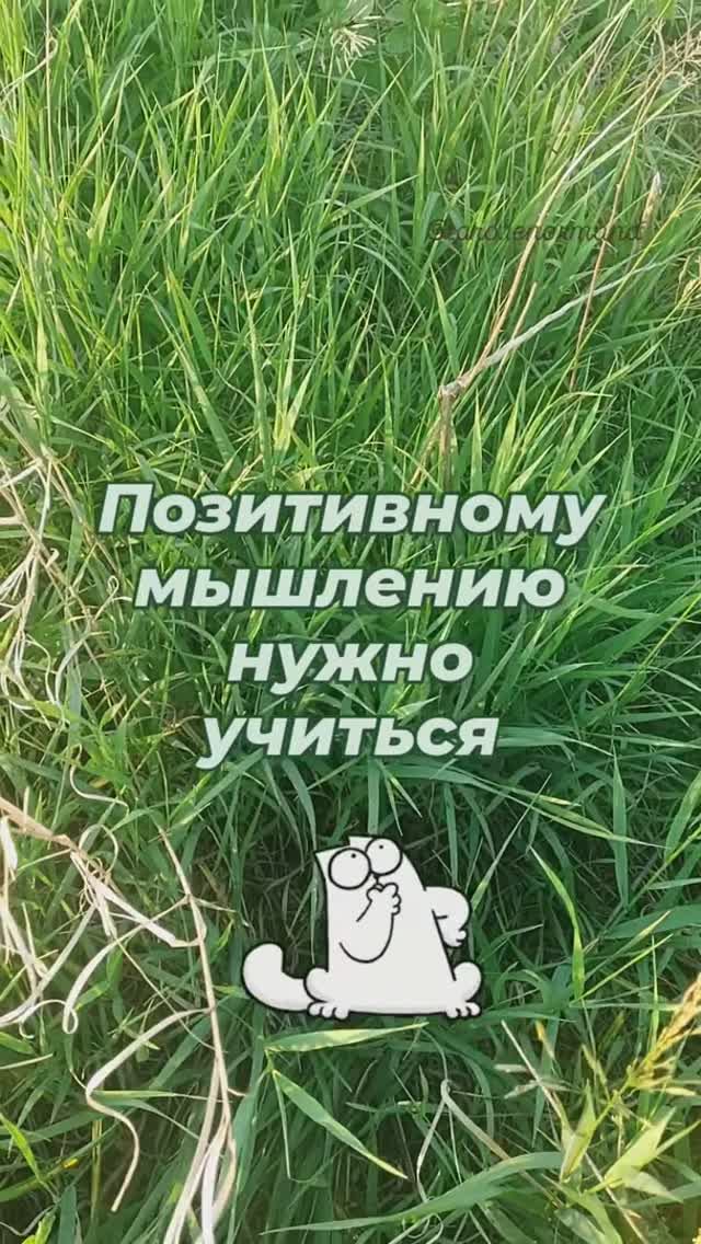 Позитивному мышлению нужно учиться 🧠💫 t.me/tarot_healing
#мышление #осознанность #аффирмации