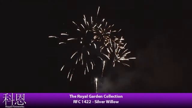 Silver Willow RFC 1422 [The Royal Garden Collection]