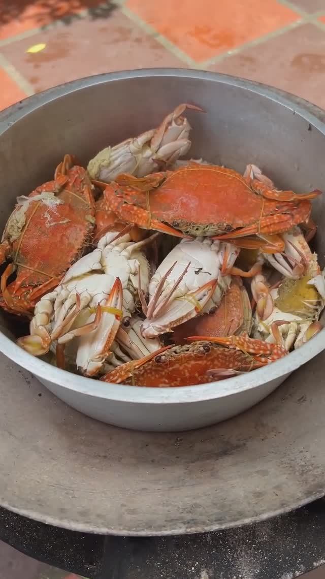 Удивительное приготовление морских крабов по вкусному рецепту