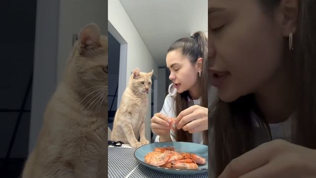 1000073301.mp4