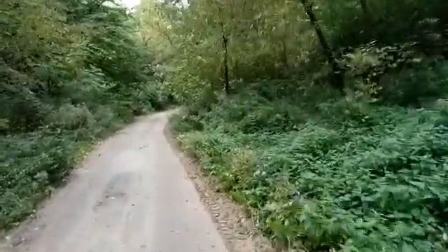 Врубелевский спуск в Киеве