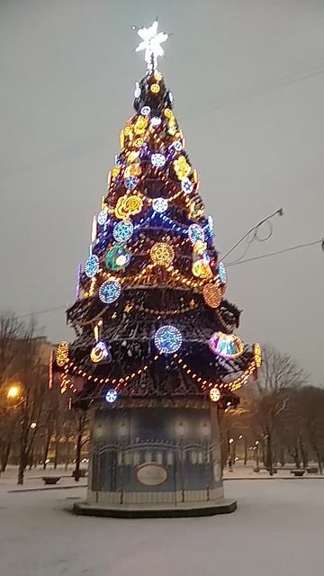 Елки Петербурга