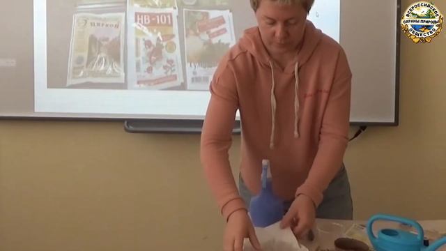 Посев рассады цветковых растений