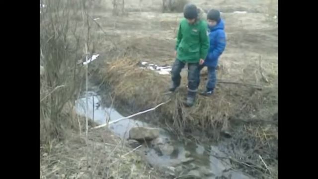 поход в балку за цветами)