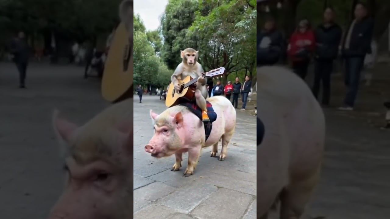 # ДОБРЫЙ ВЕЧЕР ✌️ #музыка #dance #юмор -- #shorts