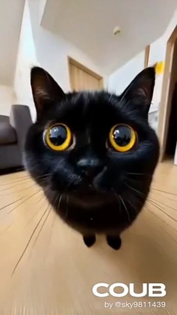 Котейка лизунь
