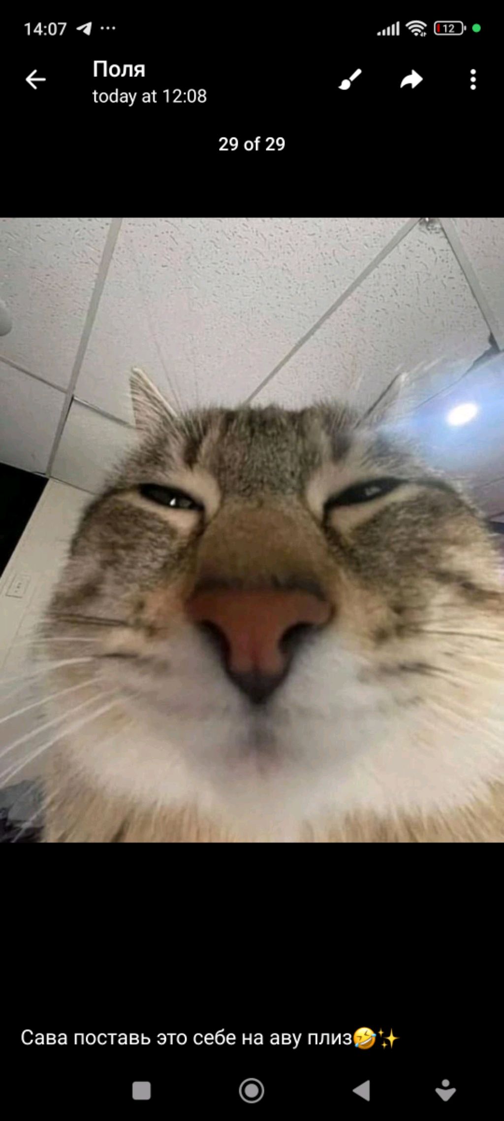 капо